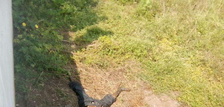 SAVE_20251109_130746